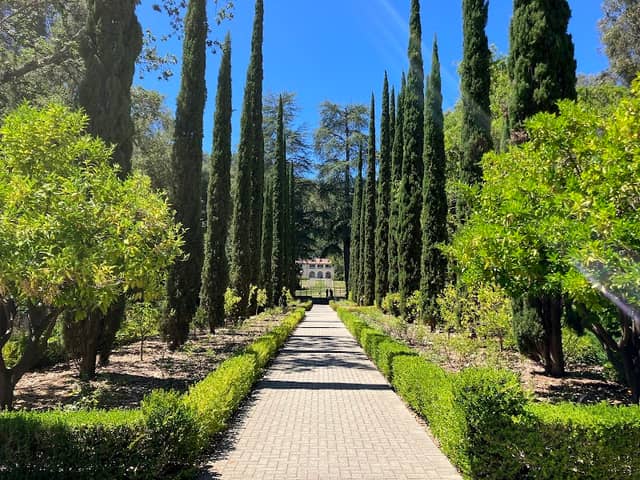 Montalvo Arts Center - Image 2