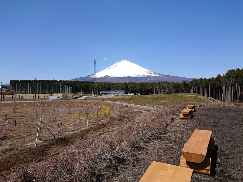 Innochiku Sports Koen Maruo Park - Image 1