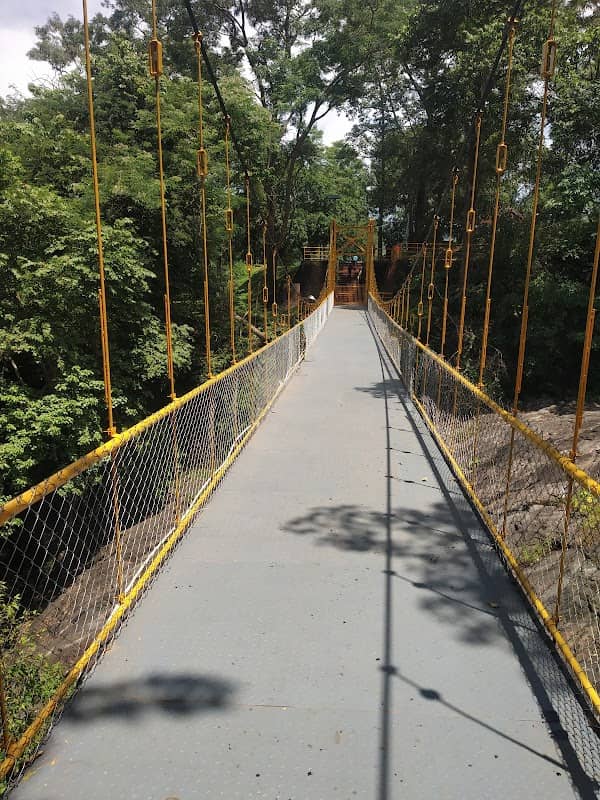Vazhani dam hanging bridge - Image 1