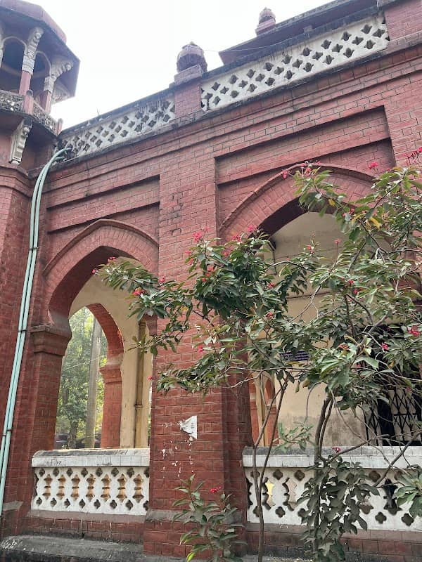 ভাওয়াল কলেজ দিঘী - Image 1