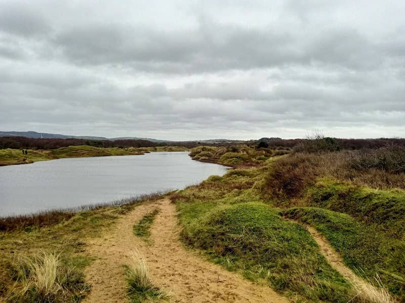 Kenfig Pool - South Hide - Image 1