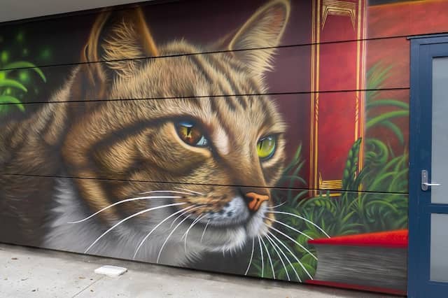 SWIFTMANTIS Cat Mural - Kevin the Parkland School Cat - Image 1