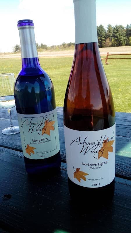 Dixon's Autumn Harvest Winery and Orchard - Image 2