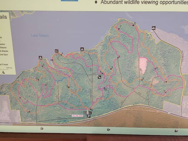 Lake Talquin State Forest – Fort Braden Trails - Image 2
