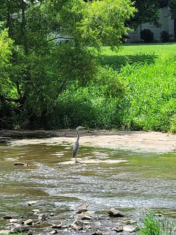 Rock Creek Park - Image 1