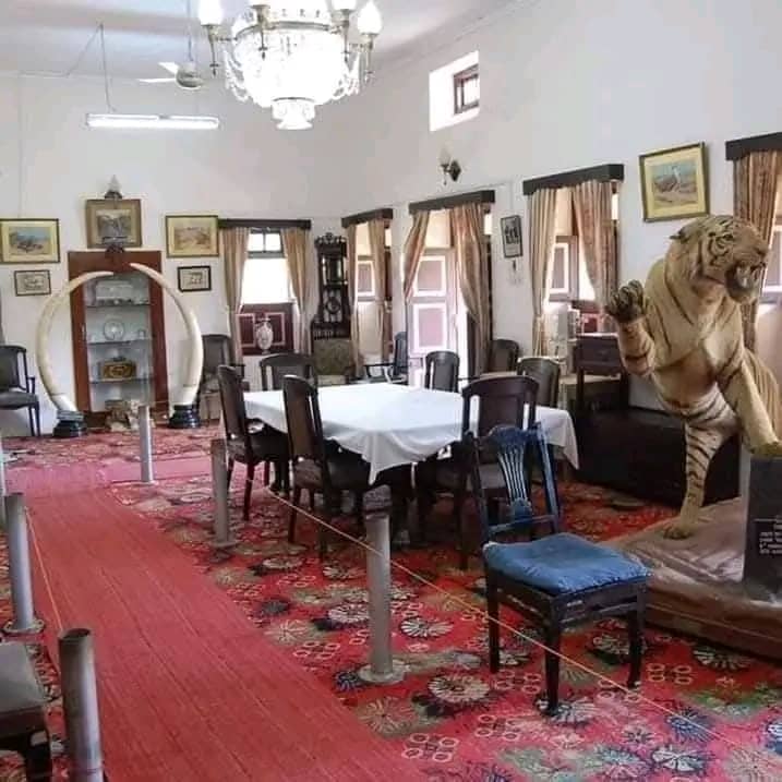 Sharad Baug Palace - Image 2