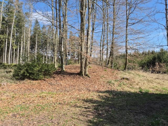 Hügelgrab Pelka - Image 1