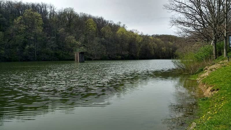 Cameron Lake - Image 1