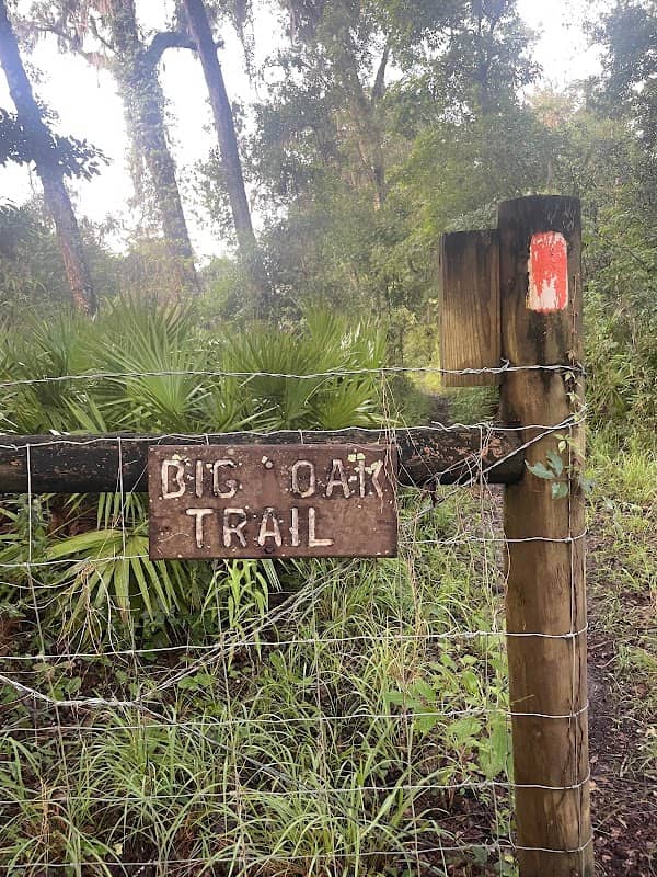 Big Oak Trail - Image 1