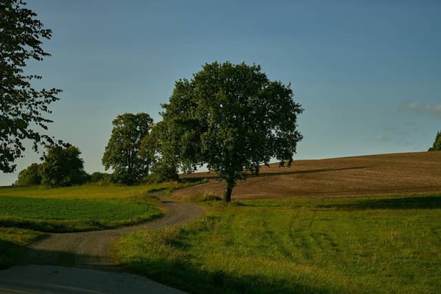Vyhlídka na Třešince - Image 2