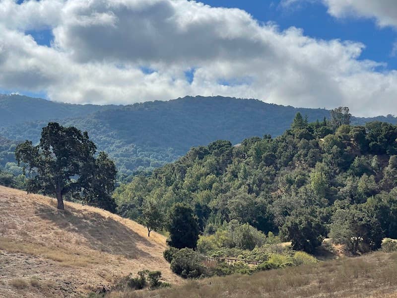Byrne Preserve - Image 2
