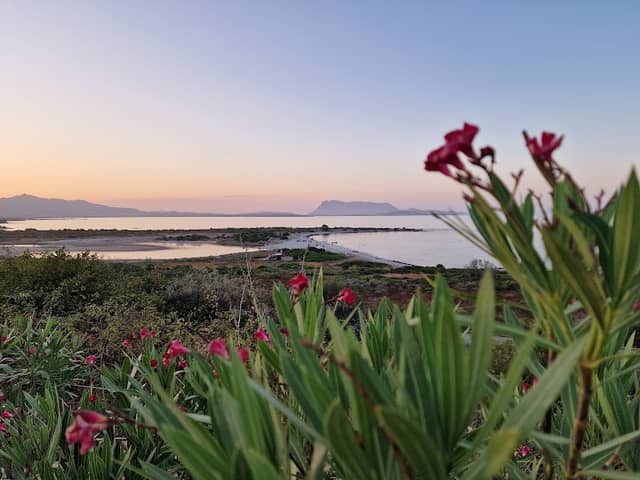Belvedere Spiaggia Isuledda - Image 2