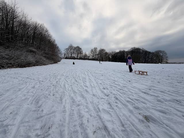 Schlittenabfahrt - Image 1