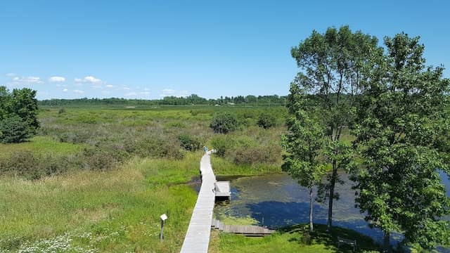 Woodland Dunes Nature Center & Preserve - Image 3