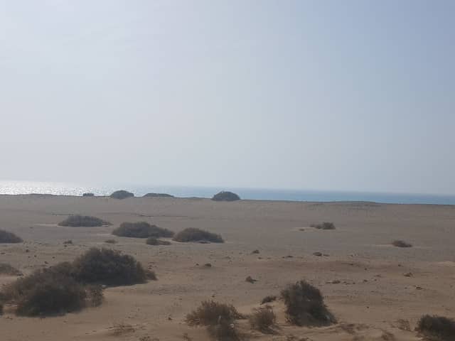 الطور - Image 1