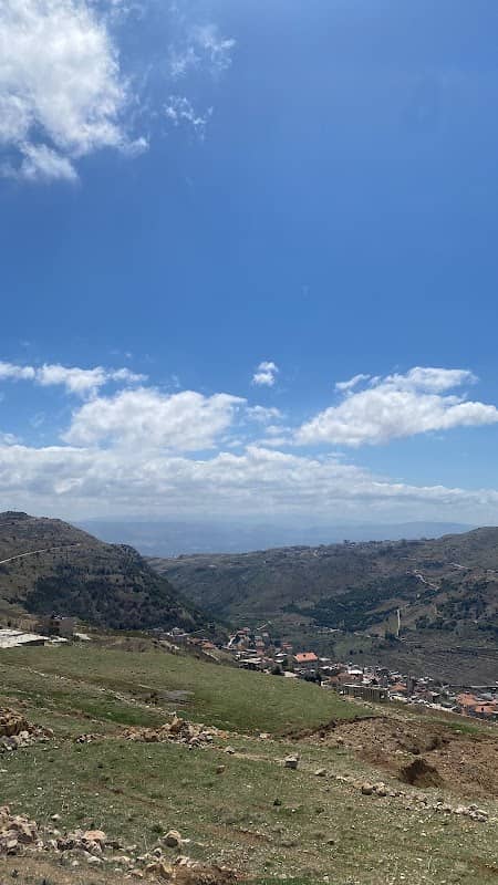 الجوزة - Image 1