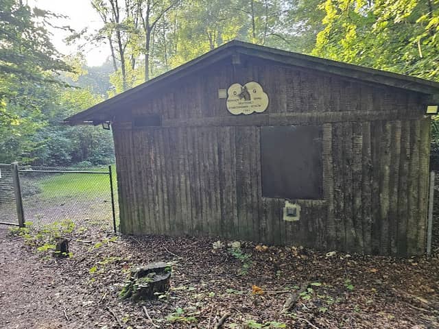Werther Berg Deutscher Schäferhunde Verein SV - Image 2