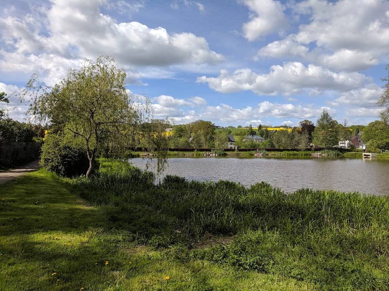 Henny-Teich - Image 1