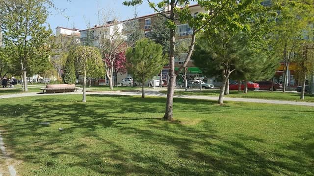 Gülevler parkı - Image 1