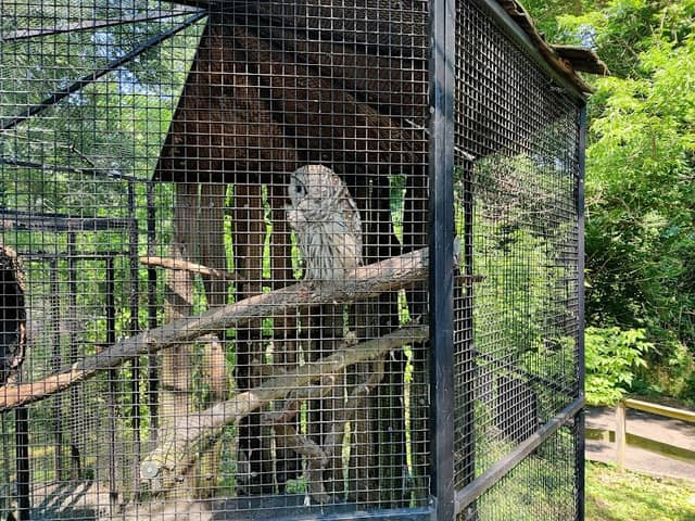 Connecticut's Beardsley Zoo - Image 2