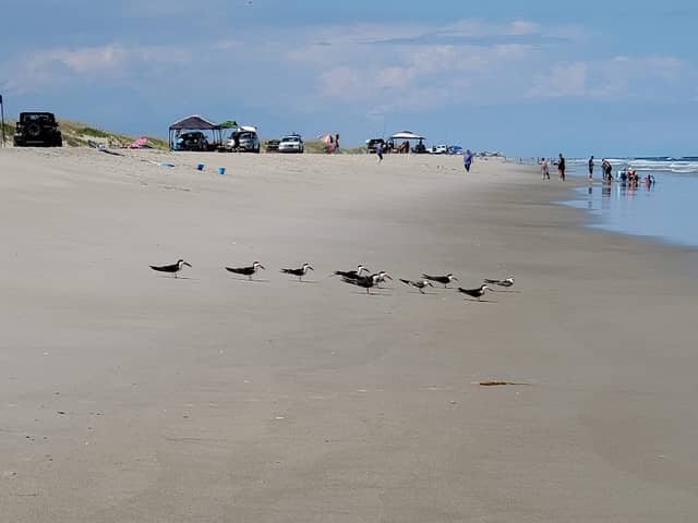 Zeke's Island Reserve - Image 1