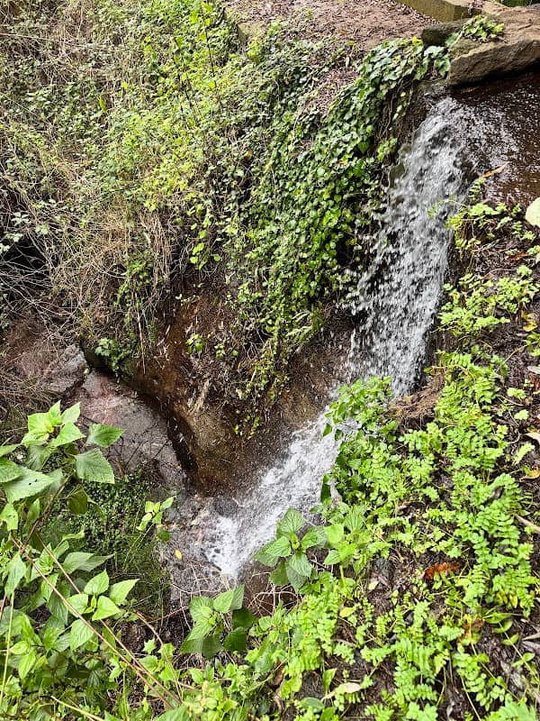 Levada do Norte - Image 1