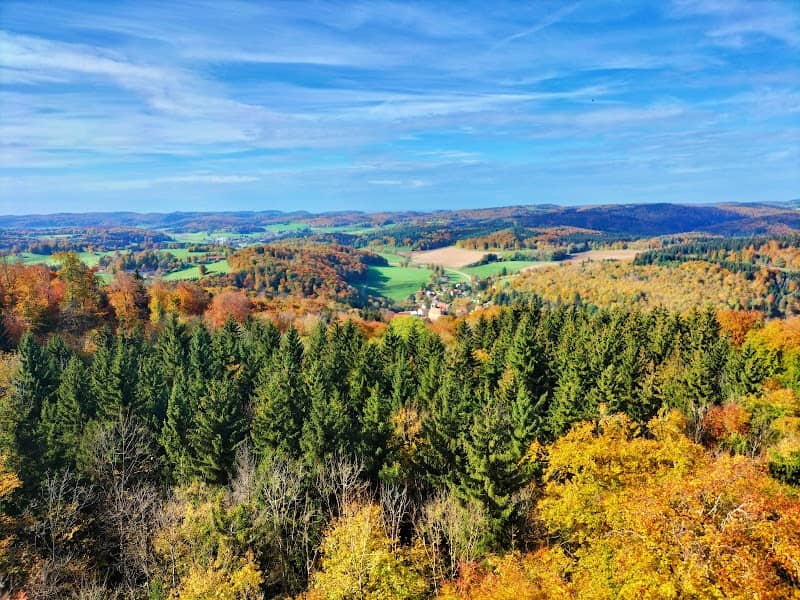 Sternberg - Image 1
