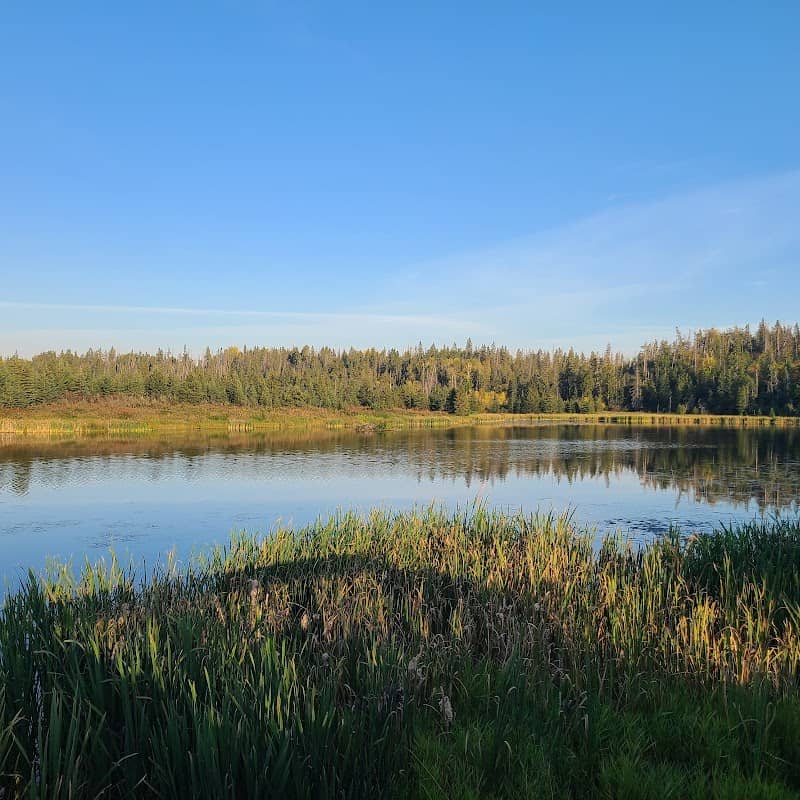 Gaetz Lakes Migratory Bird Sanctuary - Image 2