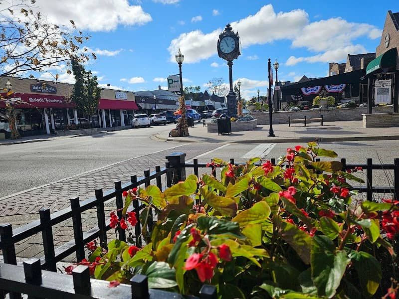 Downtown Crystal Lake - Image 2