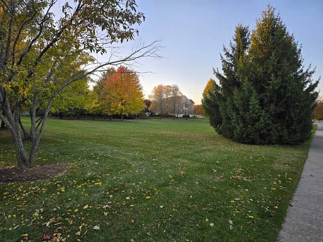 Bliss Park - Image 2