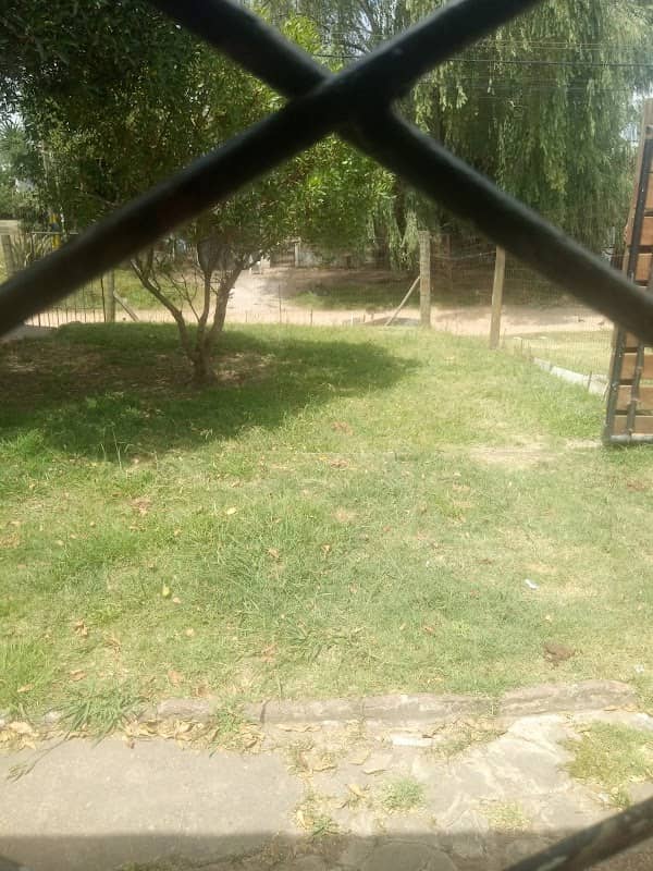 Barros blanco - Image 1