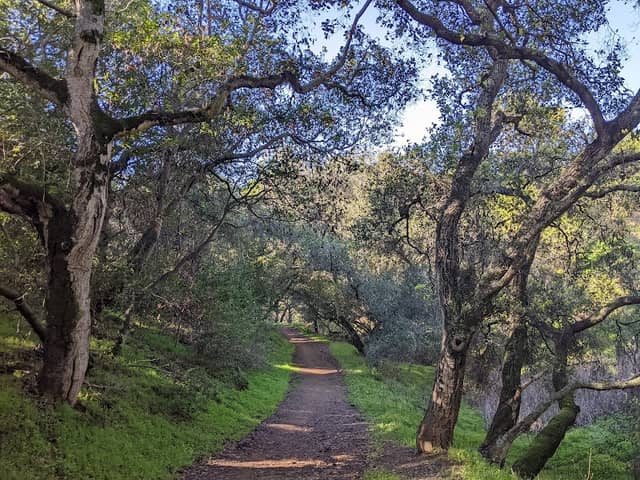 Dry Creek Pioneer Regional Park - Image 2