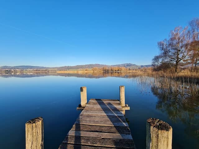 Holzsteg Pfäffikersee - Image 1