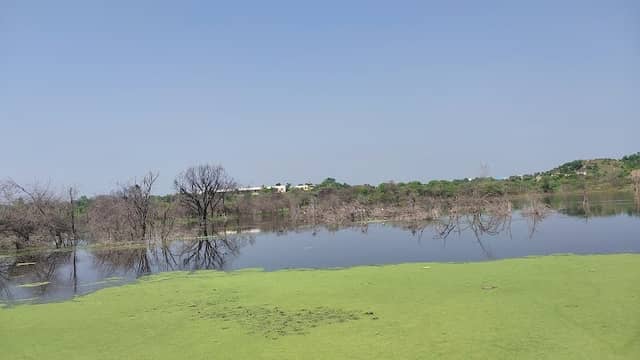 Jawad Lake - Image 1