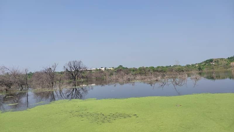 Jawad Lake - Image 1