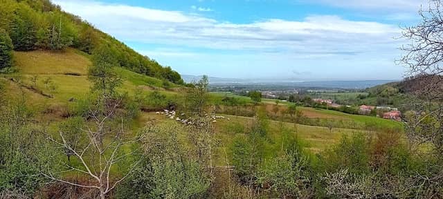 Reconectare la natură - Image 2