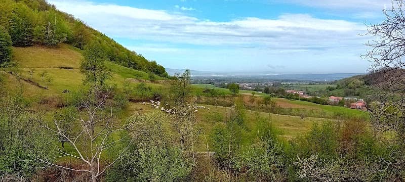 Reconectare la natură - Image 2