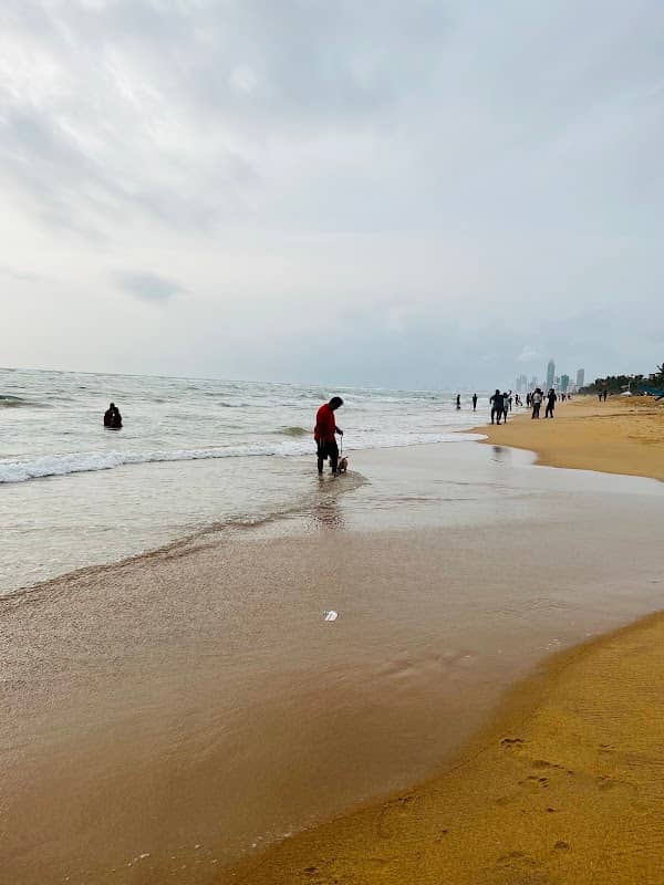 Dehiwala Beach - Image 2