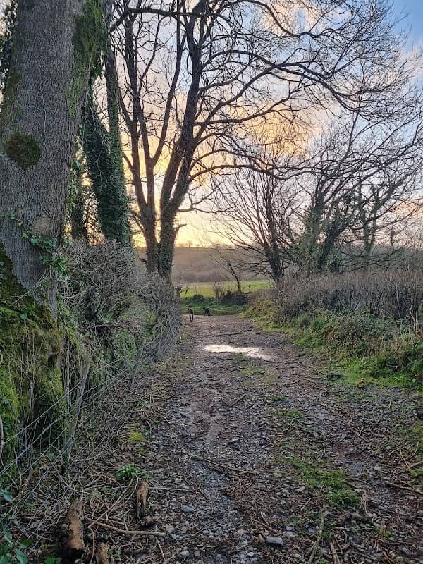 Ford afon cych - Image 1