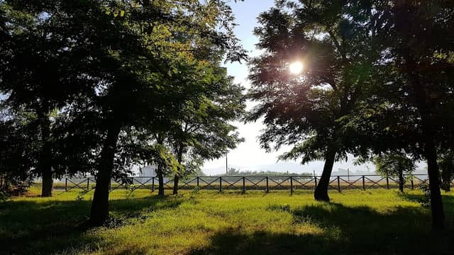 Percorso Verde - Image 1