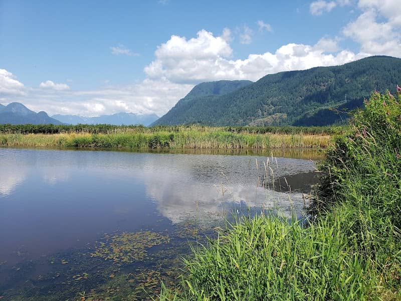 Sturgeon Slough - Image 1