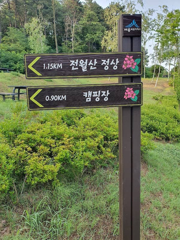 Sejong Mugunghwa Park - Image 2