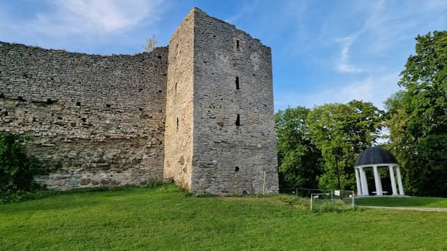 Põlluväravatorn - Image 1