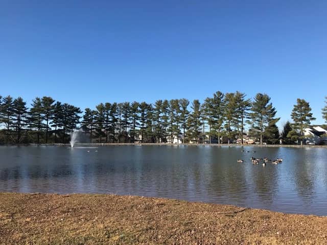 Taneytown Duck Pond - Image 1