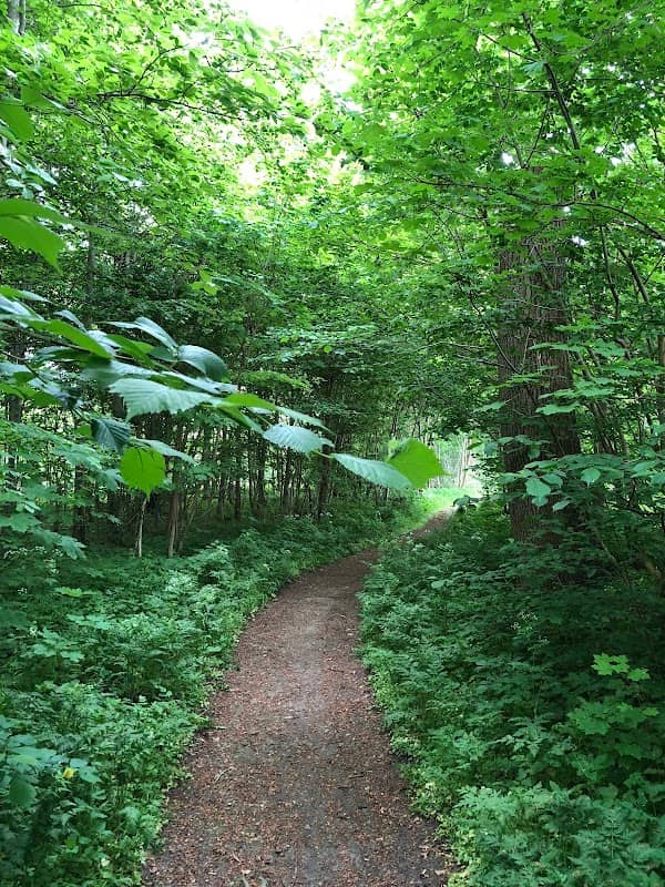 Befrielsessten i Østrup - Image 1