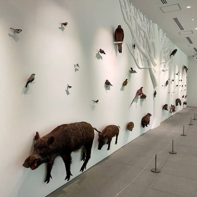 TAKAO 599 MUSEUM - Image 2