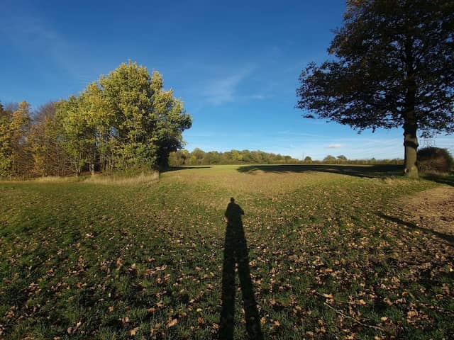 Wymondley Wood - Image 2