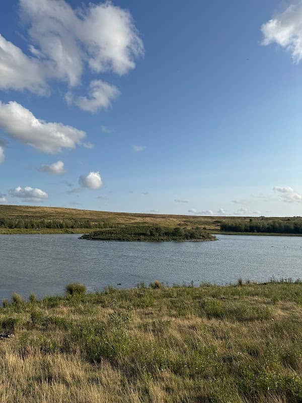 Goose Island - Image 1
