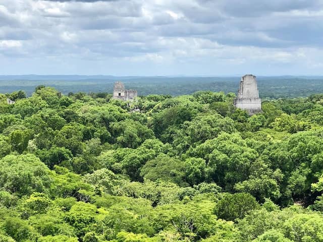 North Acropolis, Tikal - Image 2