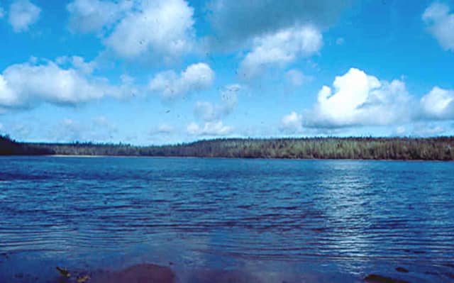 Drizzle Lake Ecological Reserve - Image 1